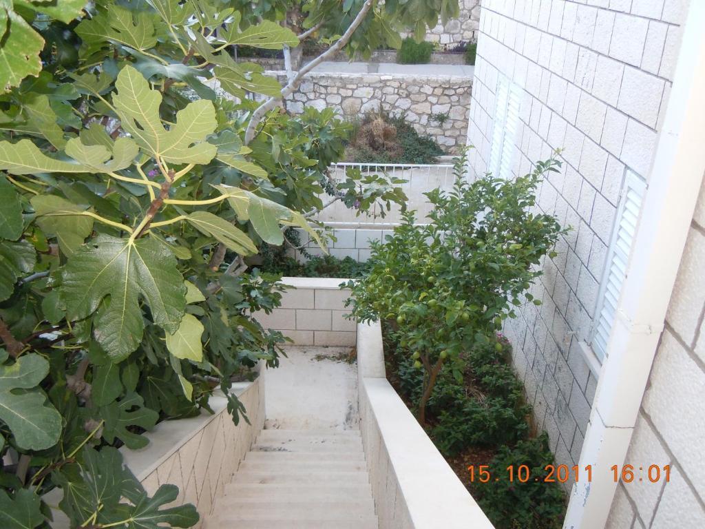 Central Apartment Ντουμπρόβνικ Δωμάτιο φωτογραφία