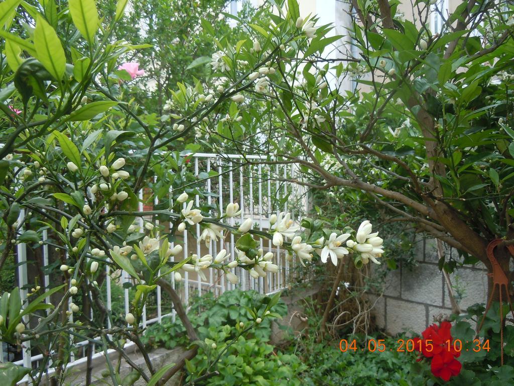 Central Apartment Ντουμπρόβνικ Δωμάτιο φωτογραφία