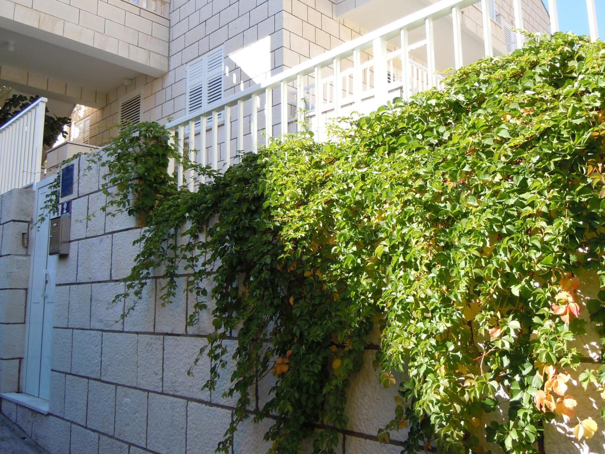 Central Apartment Ντουμπρόβνικ Εξωτερικό φωτογραφία