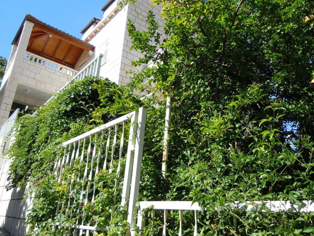 Central Apartment Ντουμπρόβνικ Εξωτερικό φωτογραφία